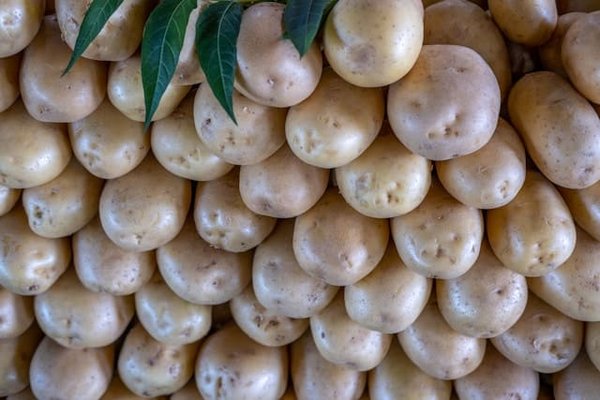 Comment créer un jardin de légumes pour une alimentation durable en ville ?
