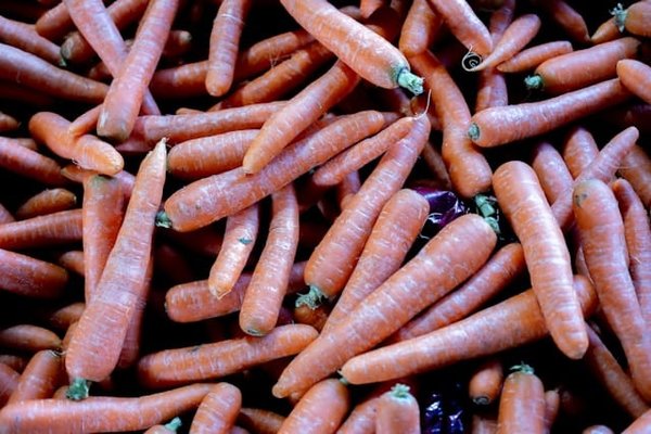 Quels sont les meilleurs légumes pour un jardin en serre en hiver?